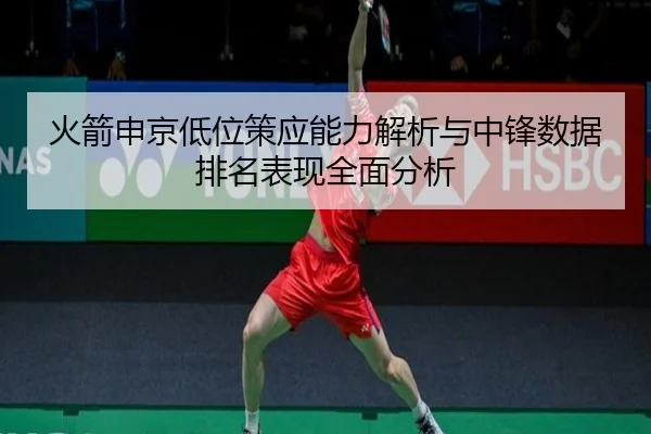 火箭申京低位策应能力解析与中锋数据排名表现全面分析